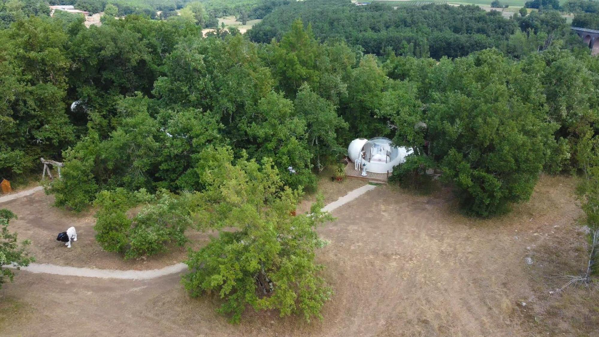 Coeur De Bull' Villa Cahuzac-sur-Vère Cameră foto